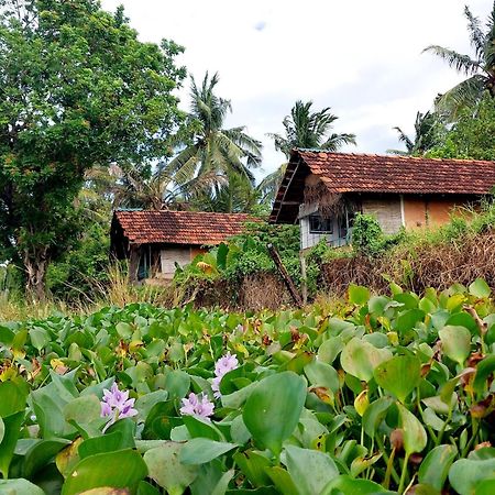 Lake Cabin Polonnaruwa Ngoại thất bức ảnh