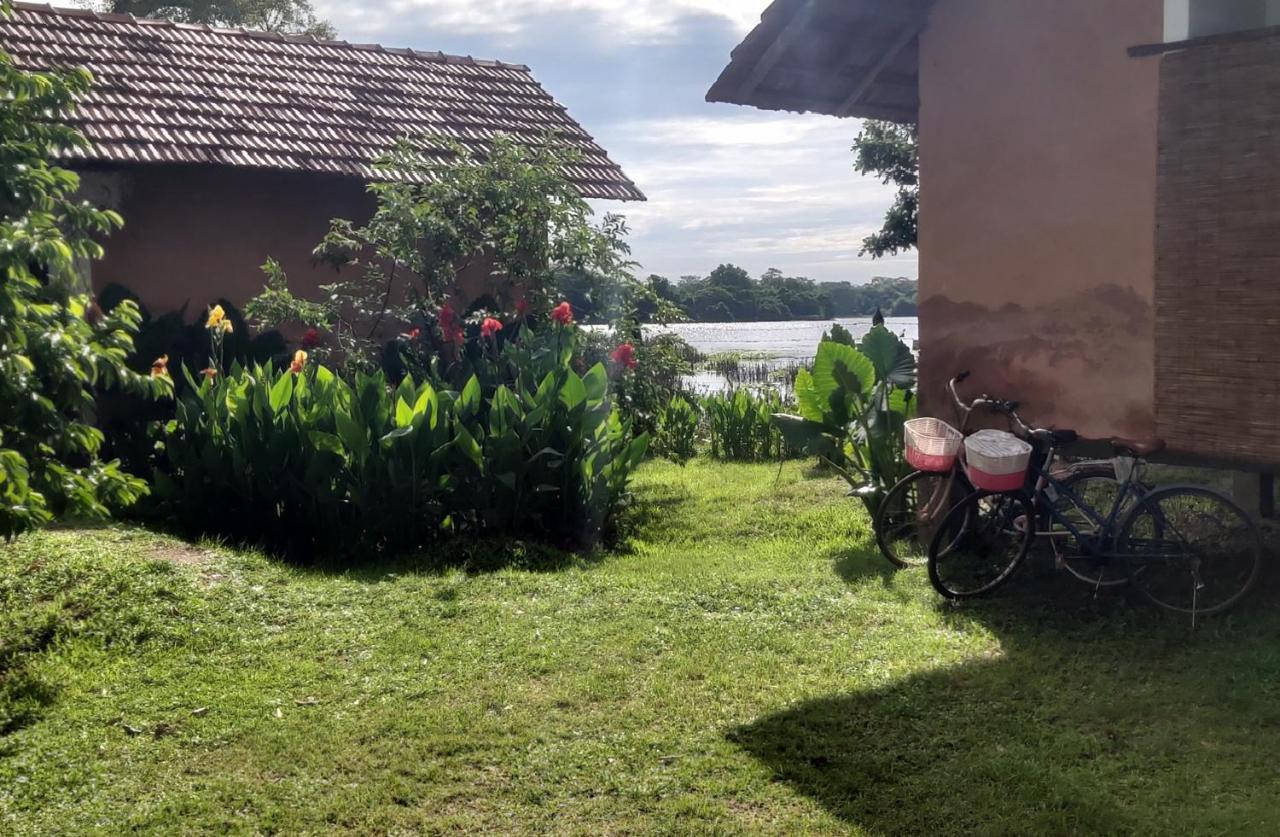 Lake Cabin Polonnaruwa Ngoại thất bức ảnh