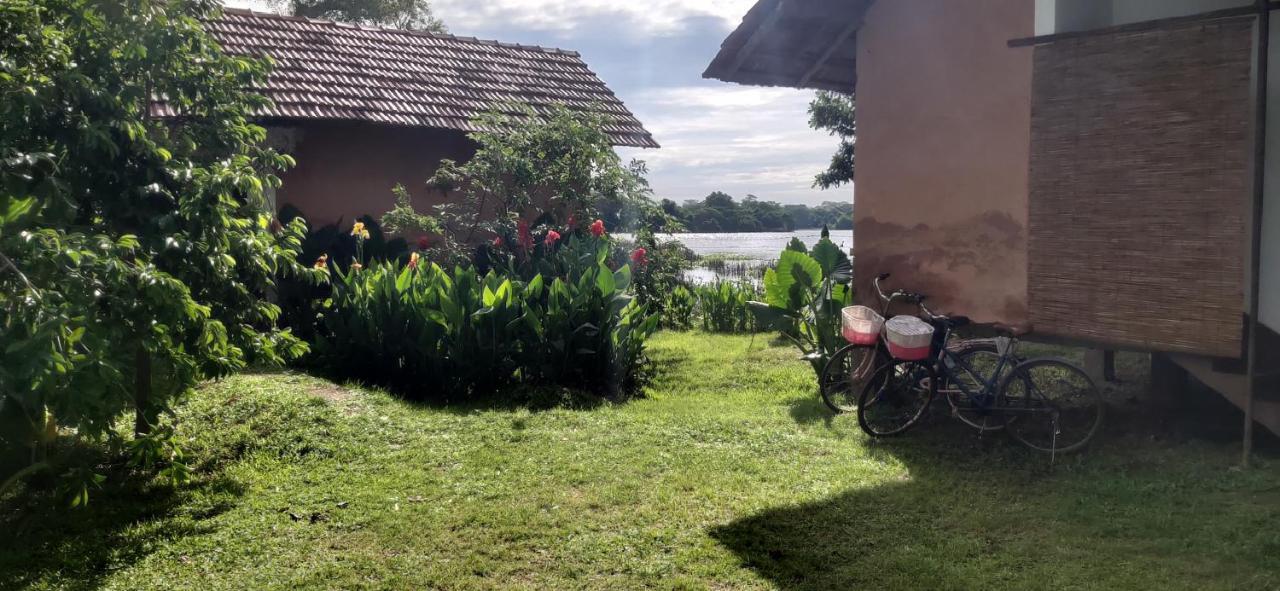 Lake Cabin Polonnaruwa Ngoại thất bức ảnh
