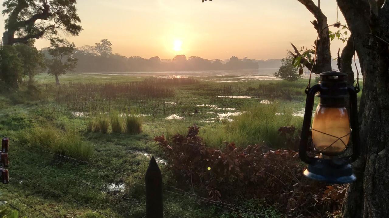 Lake Cabin Polonnaruwa Ngoại thất bức ảnh