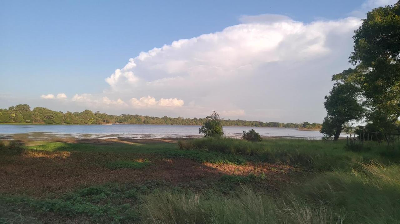 Lake Cabin Polonnaruwa Ngoại thất bức ảnh