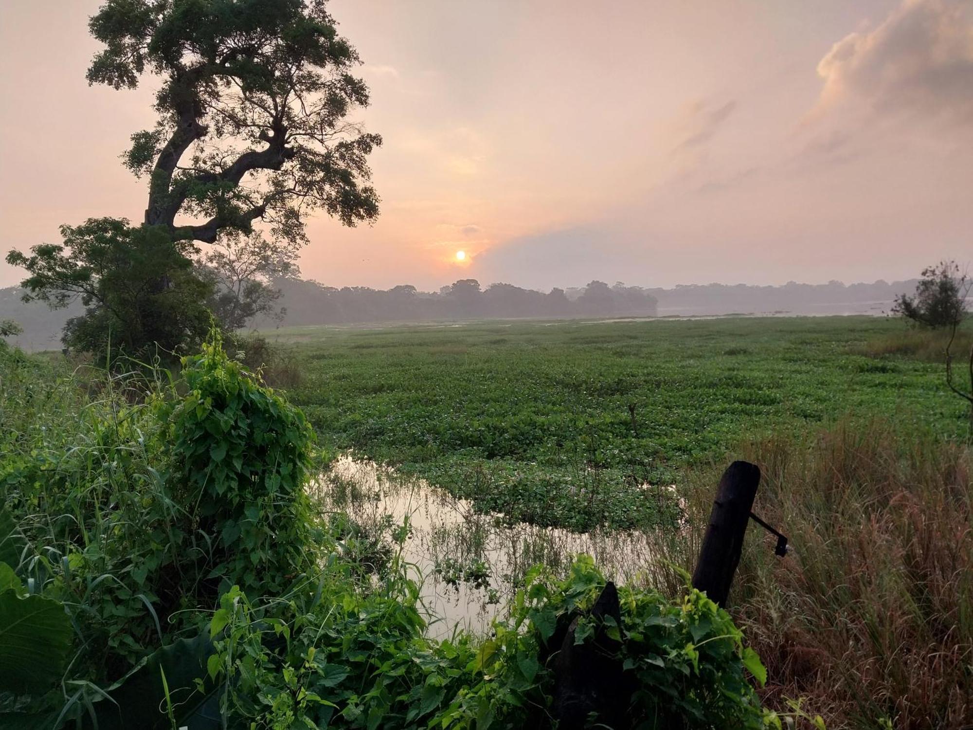 Lake Cabin Polonnaruwa Ngoại thất bức ảnh