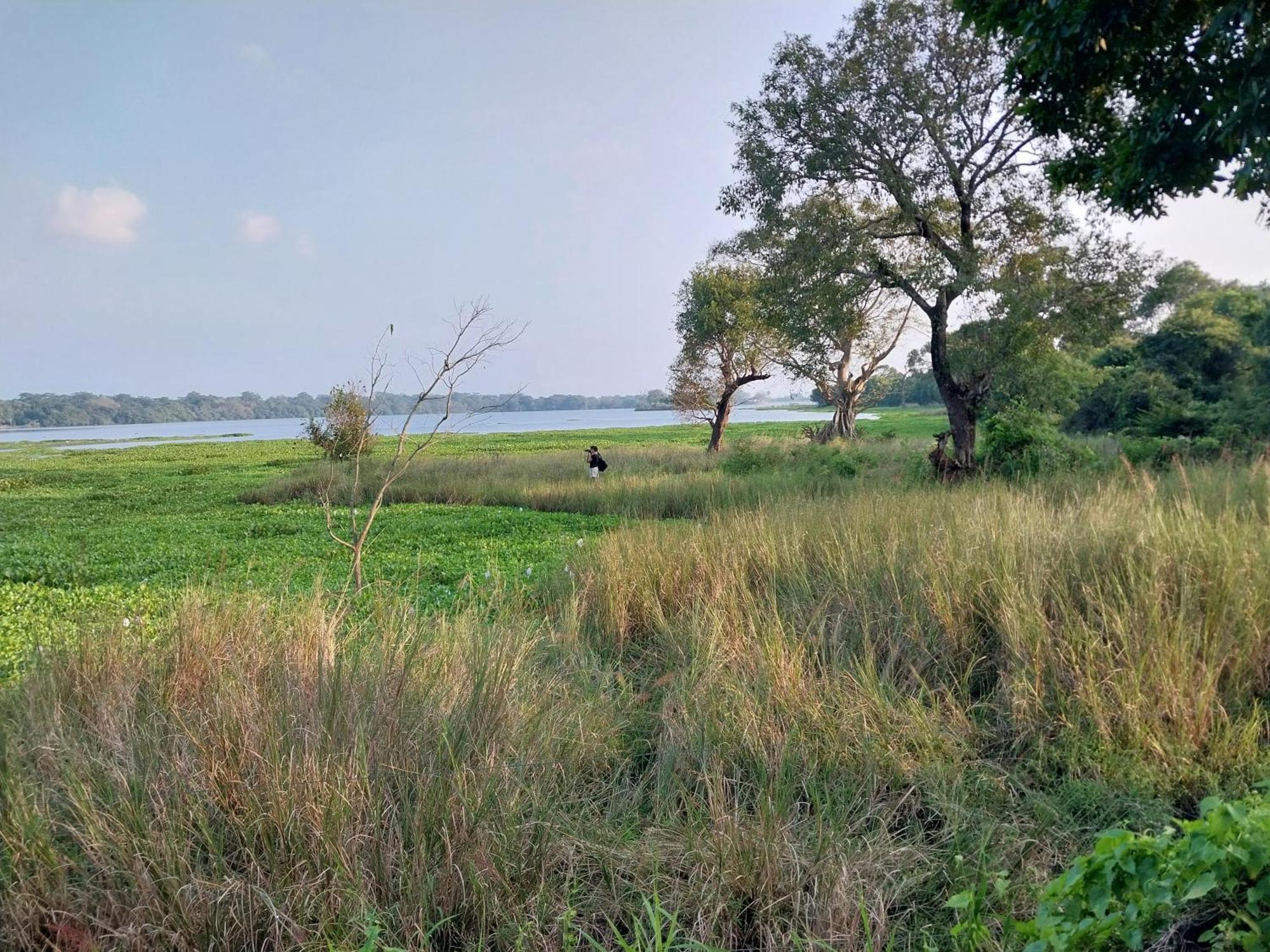 Lake Cabin Polonnaruwa Ngoại thất bức ảnh