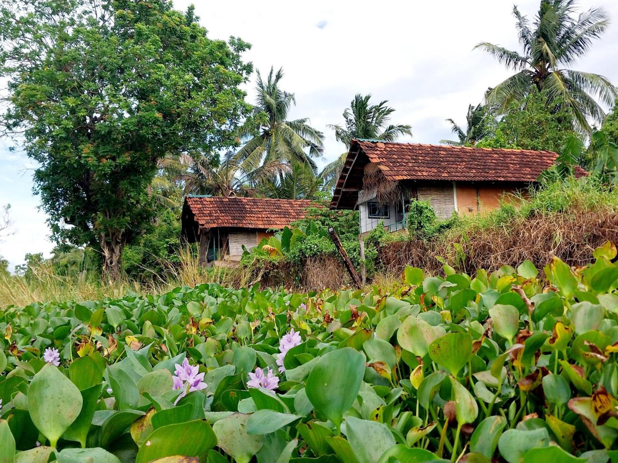 Lake Cabin Polonnaruwa Ngoại thất bức ảnh