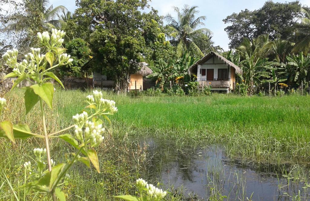 Lake Cabin Polonnaruwa Ngoại thất bức ảnh