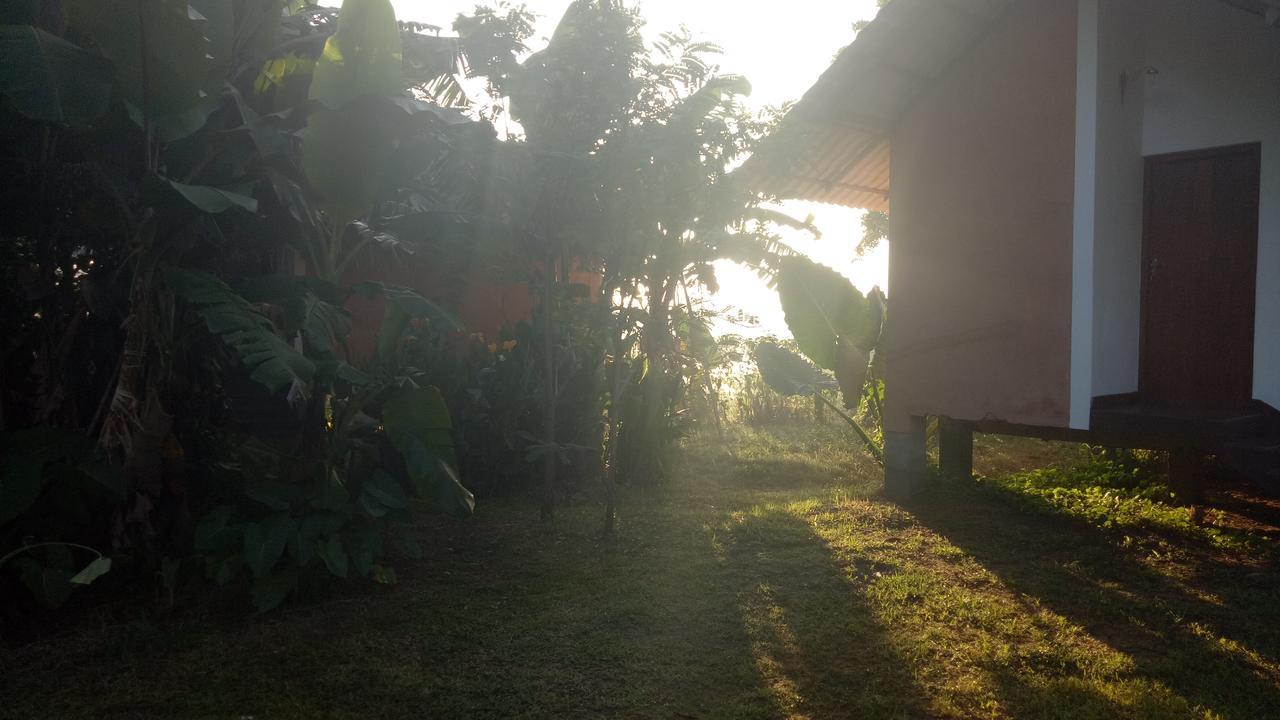 Lake Cabin Polonnaruwa Ngoại thất bức ảnh