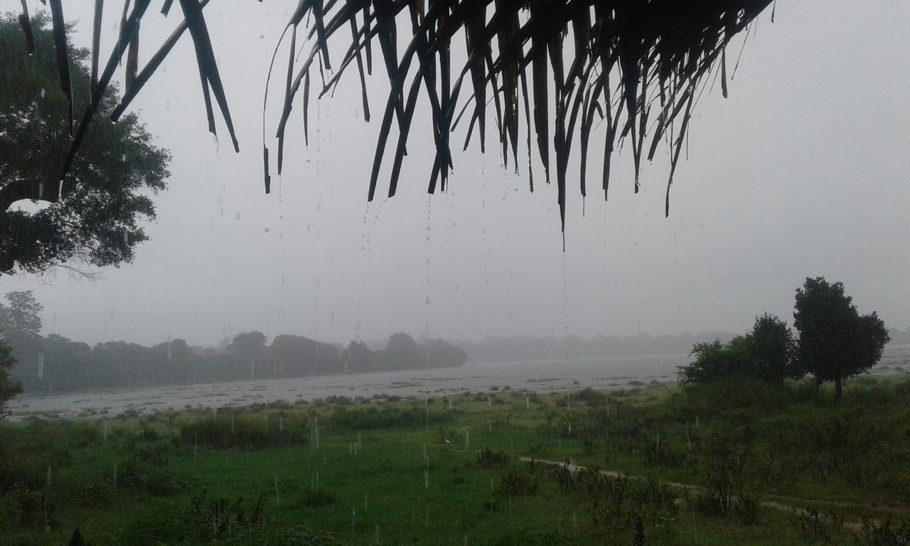 Lake Cabin Polonnaruwa Ngoại thất bức ảnh