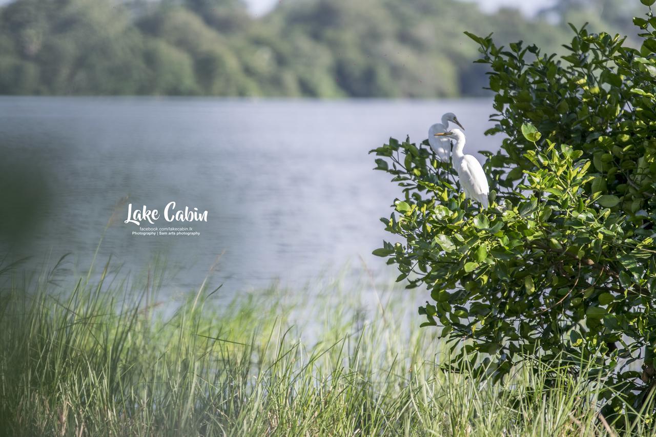 Lake Cabin Polonnaruwa Ngoại thất bức ảnh