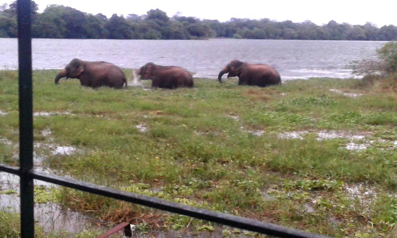 Lake Cabin Polonnaruwa Ngoại thất bức ảnh